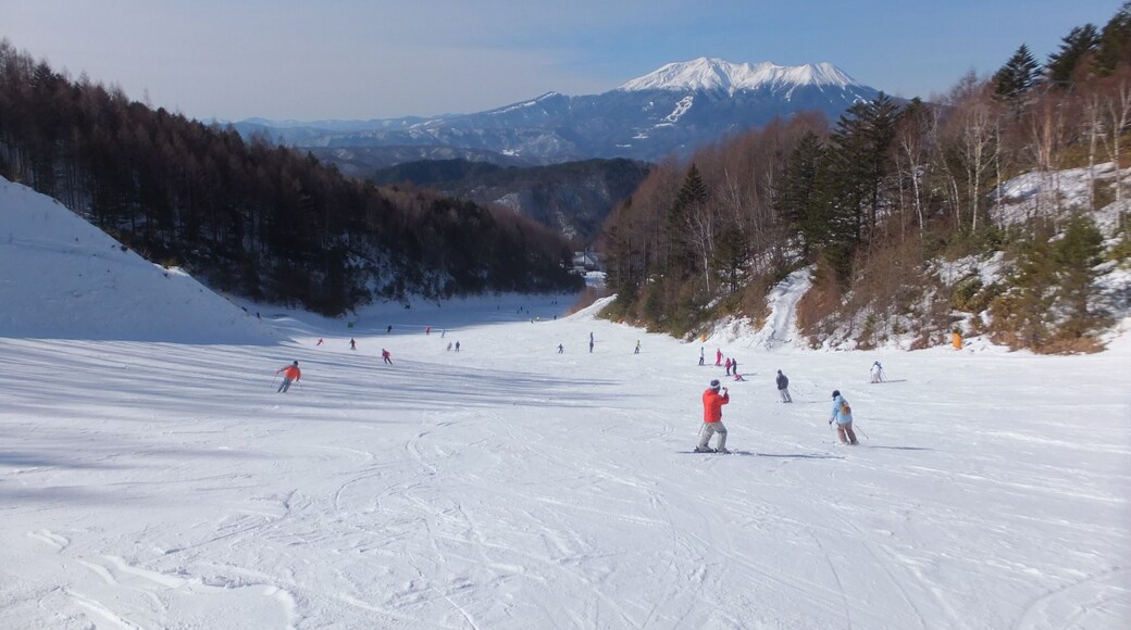 木曽福島スキー場