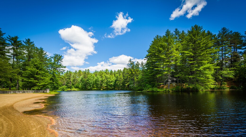 Beach on a lake at Bear Brook State Park, New Hampshire.