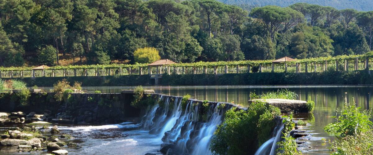 A waterfall, a river, and a vineyard with pergolas.