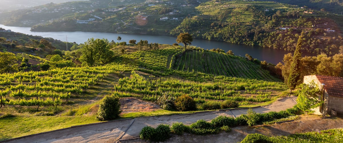 Douro Valley river in the Baião region in Portugal