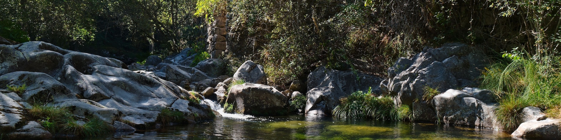 Un arroyo cristalino con rocas y vegetación.