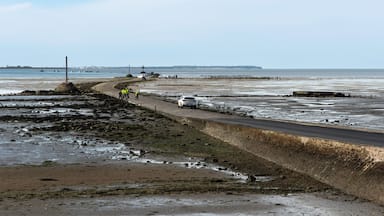 Barbatre