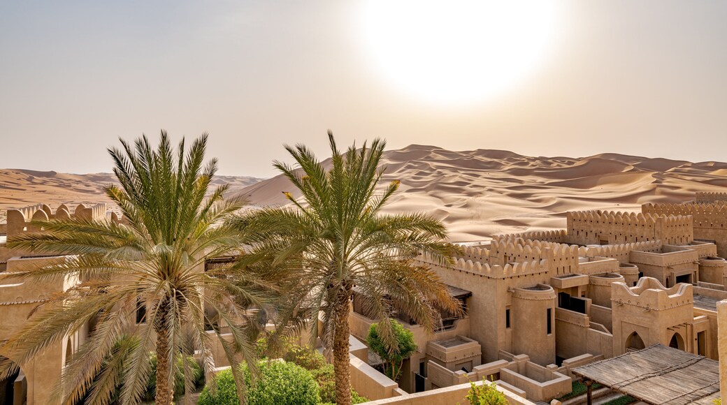 Oasis de Liwa