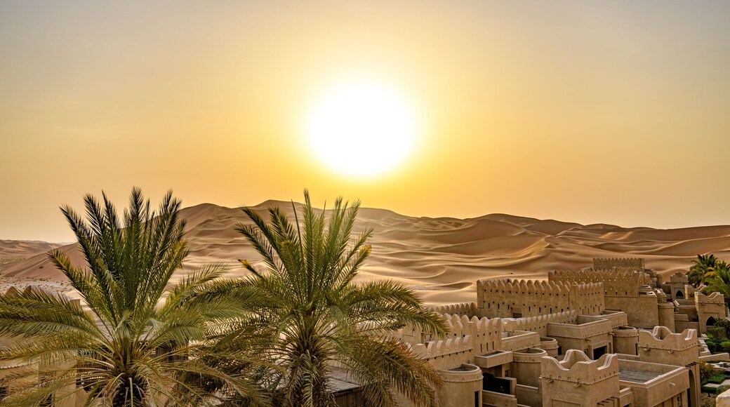 Oasis de Liwa