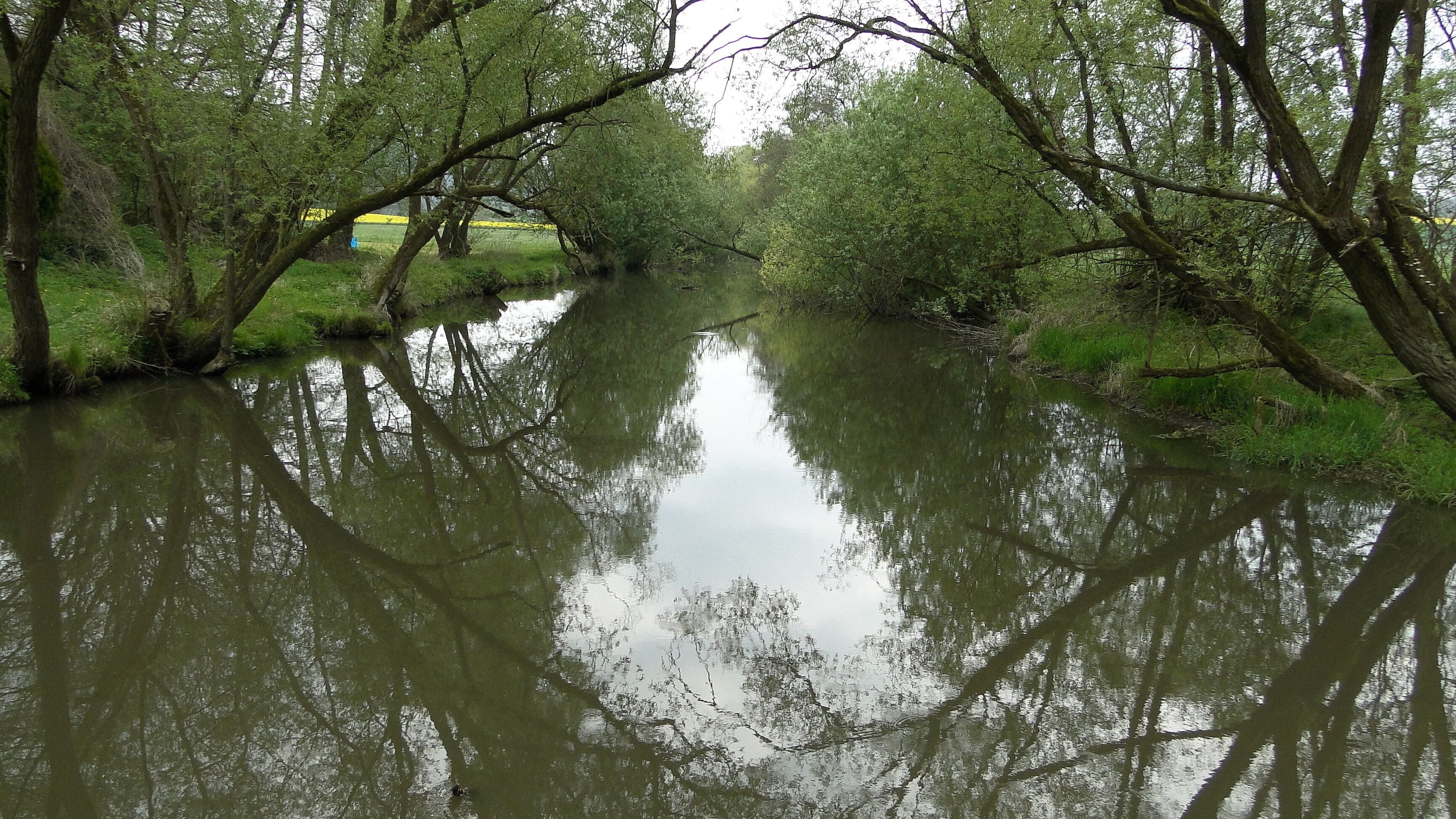 A Bad Zwesten közelében levő camping melletti patak partja, a rajta átmenő hídról nézve.