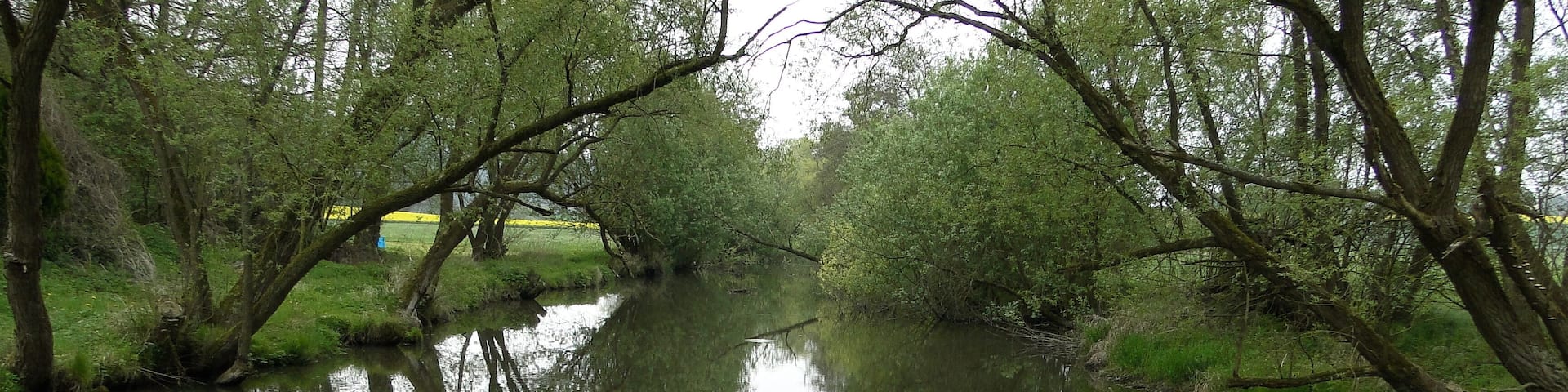 A Bad Zwesten közelében levő camping melletti patak partja, a rajta átmenő hídról nézve.