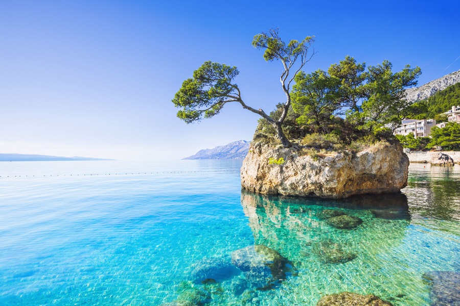 Une mer d’un bleu profond, un promontoire rocheux parsemé d’arbres et, au loin, des bâtiments.