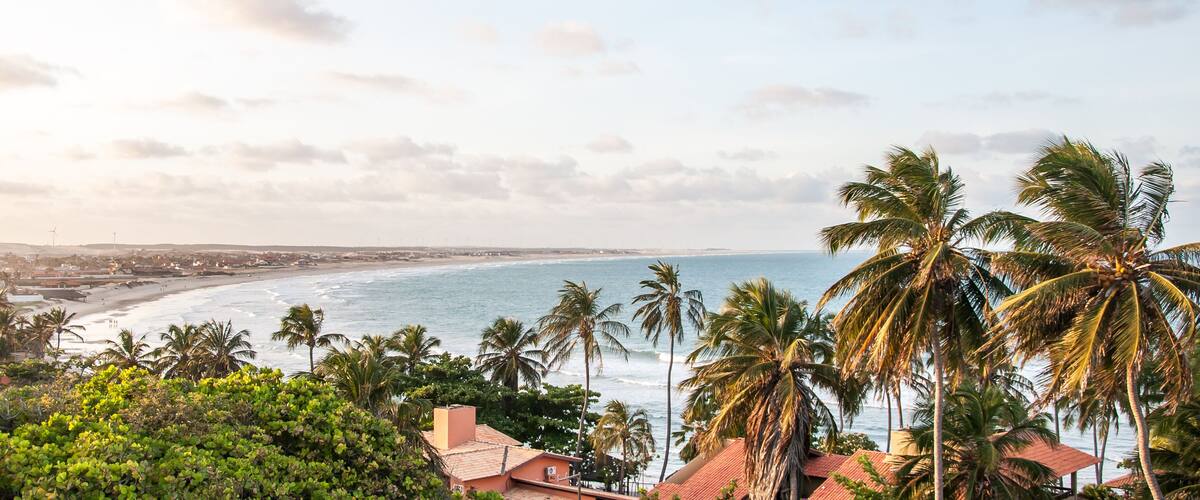 A coastal view with palm trees, a beach, and wind turbines in the distance.