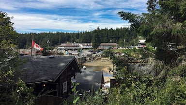 Lund, British Columbia, is the northernmost town on the Sunshine Coast and is the terminus of Highway 101 which runs the from Vancouver. The highway incorporates 2 ferry crossings.
It has a busy harbour and it is an access point to Desolation Sound & several offshore islands.
It's a quiet place, out of the way and has a beautiful setting with the snow-capped peaks of Vancouver Island across Georgia Street on one side and the green rise of the Coast Mountains on the other. Not surprisingly then, it's a great place to relax if you're looking for some time in the great outdoors. #GreatOutdoors