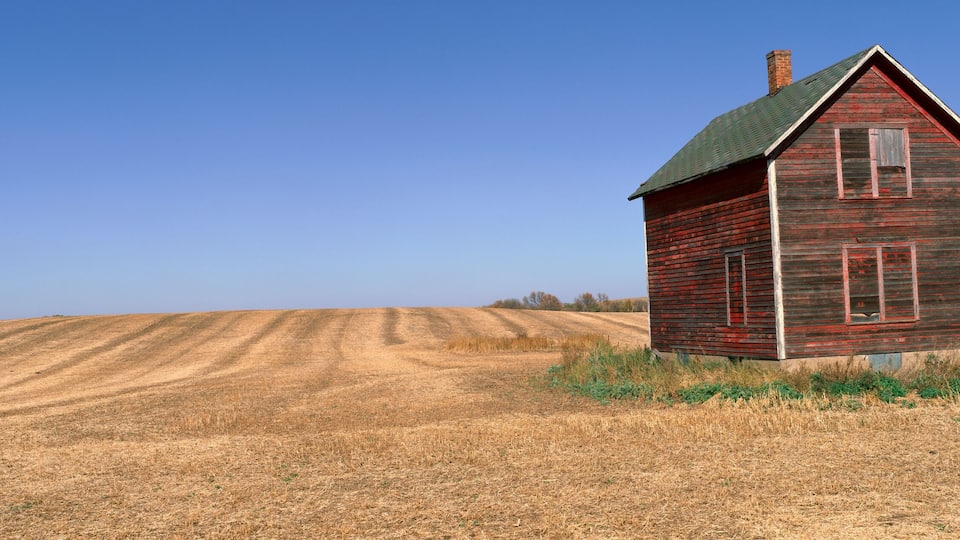 A red wooden house with a green roof and a chimney, situated in a field with rows of crops under a clear blue sky.