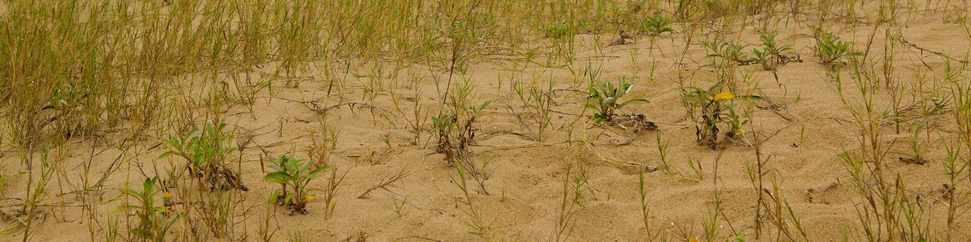 St. Lucia which includes general coastal views, landscape views and a sandy beach