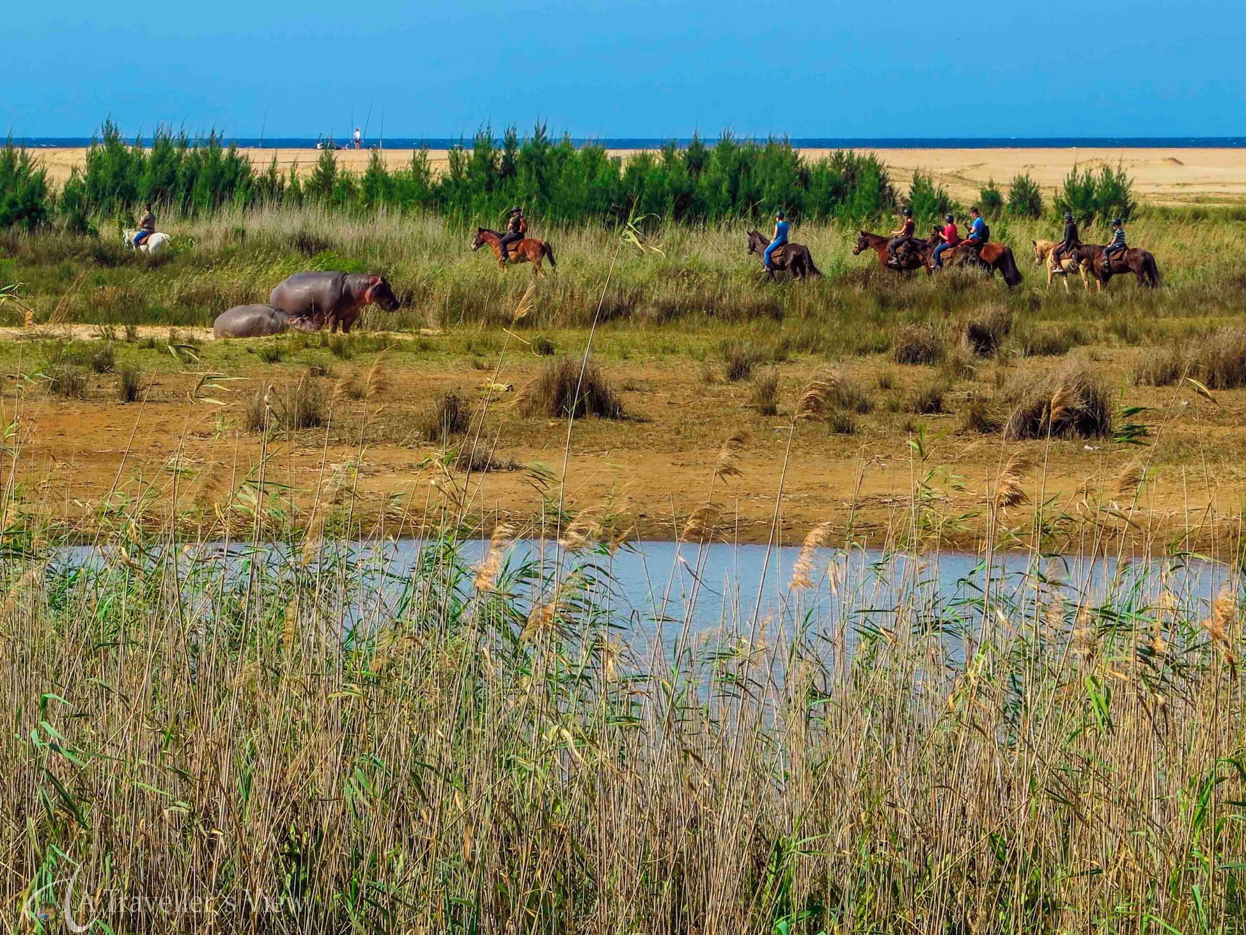 The warning sign we saw before we approached the beach was for a good reason. A trip to the beach during a #WeekendGetaway did not include sunbathing, but rather some wildlife spotting.