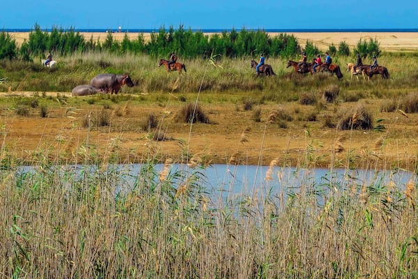 The warning sign we saw before we approached the beach was for a good reason. A trip to the beach during a #WeekendGetaway did not include sunbathing, but rather some wildlife spotting.