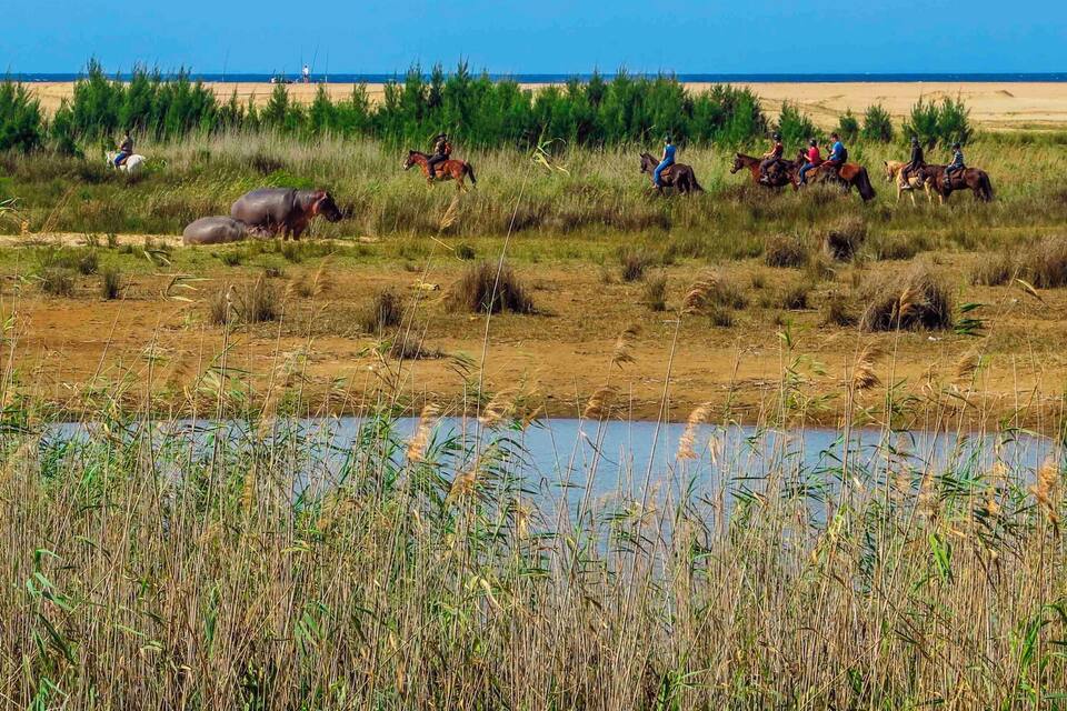 Een groep mensen rijdt op paarden over een grasveld, met een waterpartij op de voorgrond en een strand in de verte.