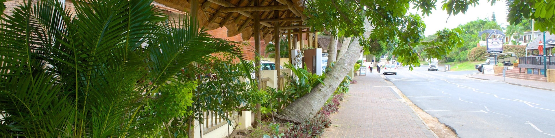 St. Lucia mostrando una ciudad y escenas cotidianas