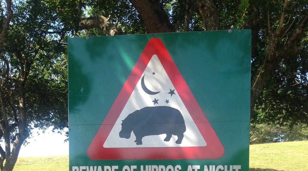 Don't stand between a hippo and water