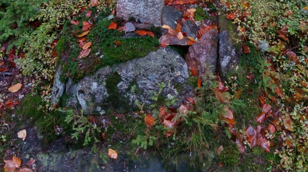 Rokyta, Czech republic, wayside cross at the path to Horní Hrádky