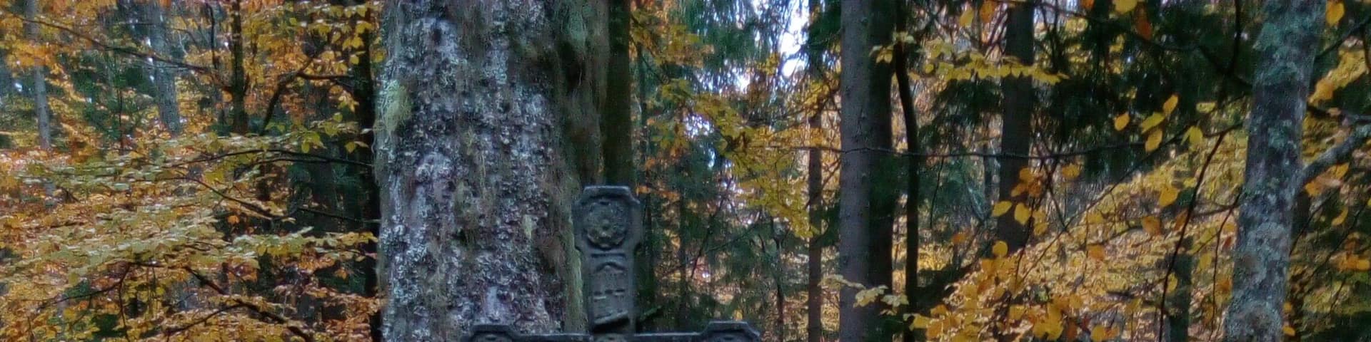 Rokyta, Czech republic, wayside cross at the path to Horní Hrádky
