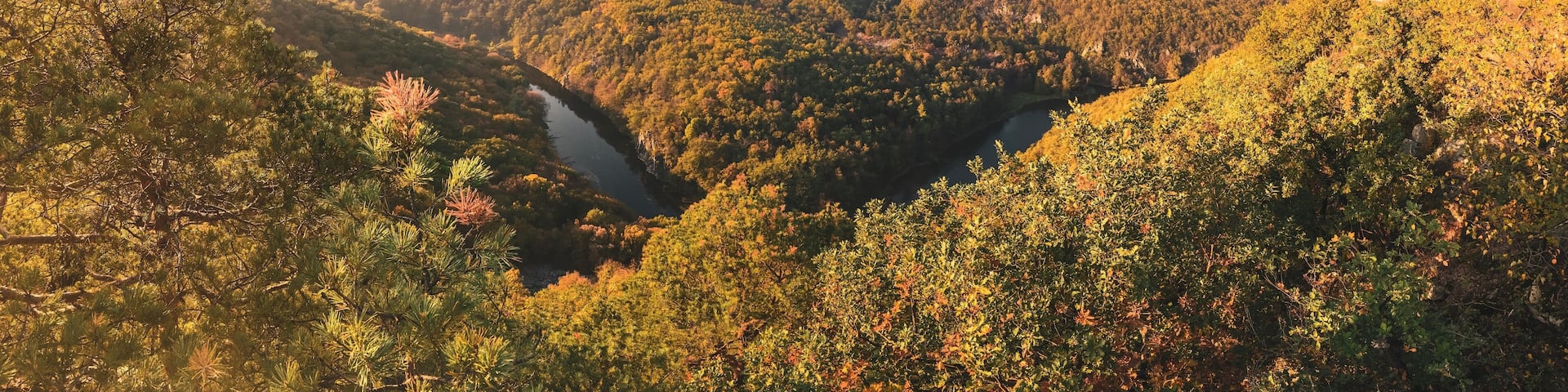 Sielsfield view point