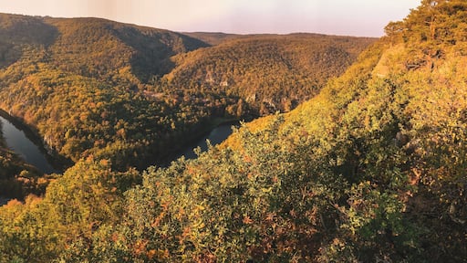 Sielsfield view point