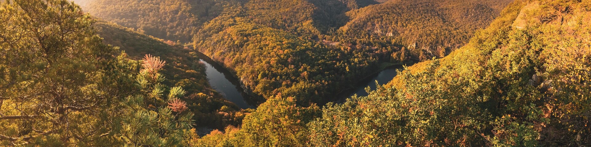 Sielsfield view point