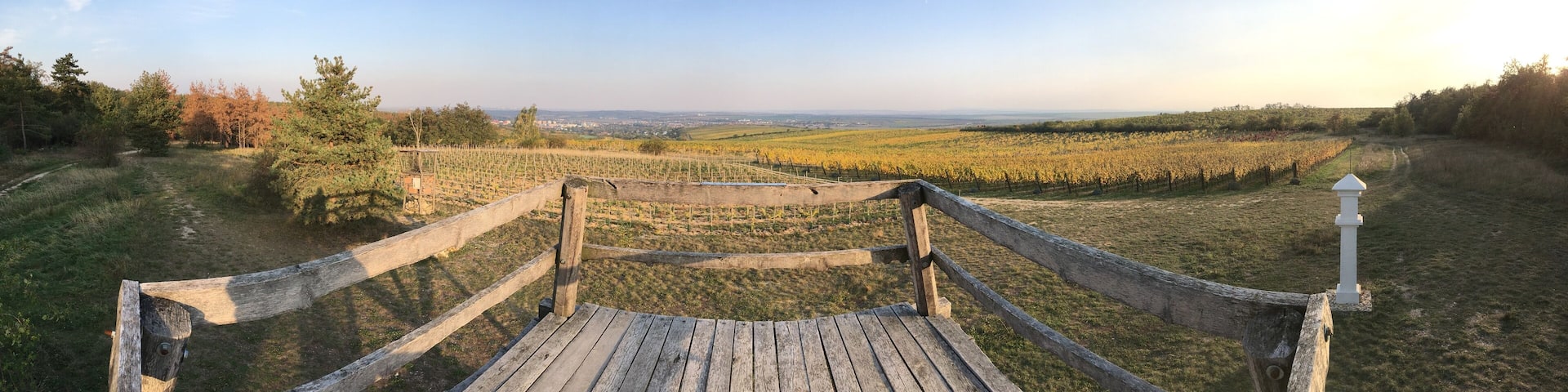 Spalek view point in vineyard