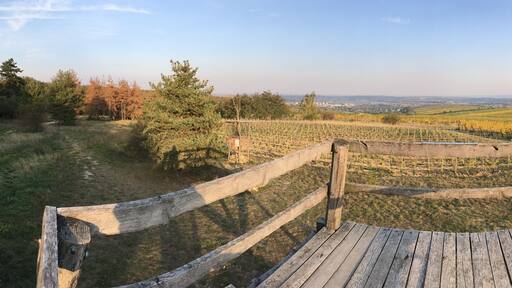 Spalek view point in vineyard