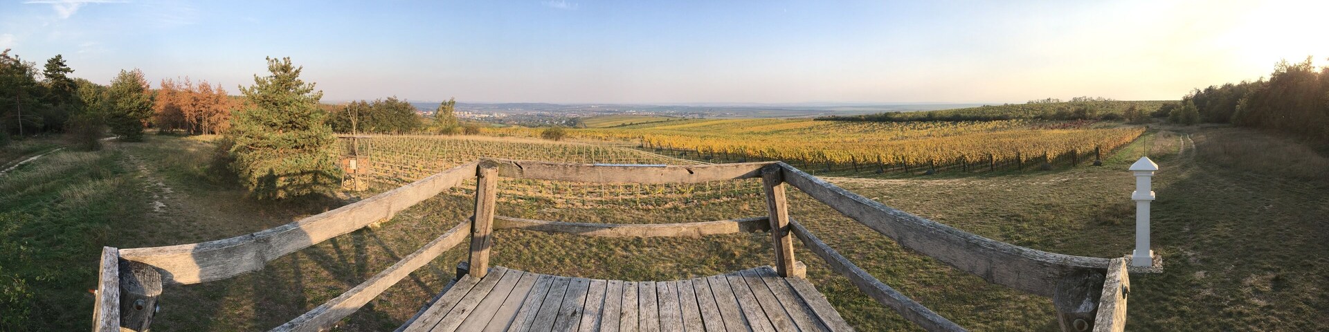 Spalek view point in vineyard
