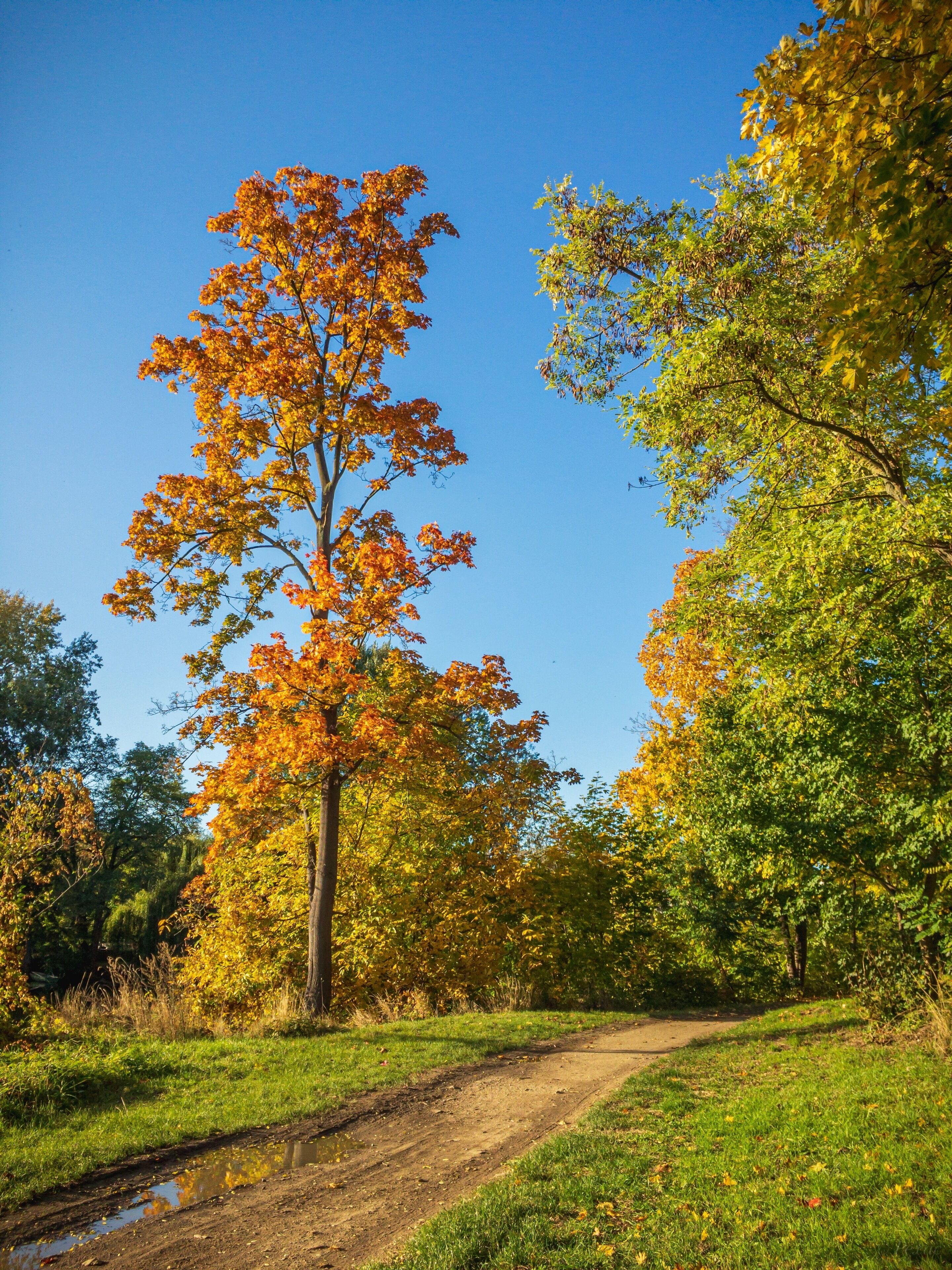 River promenade by Louka monastery