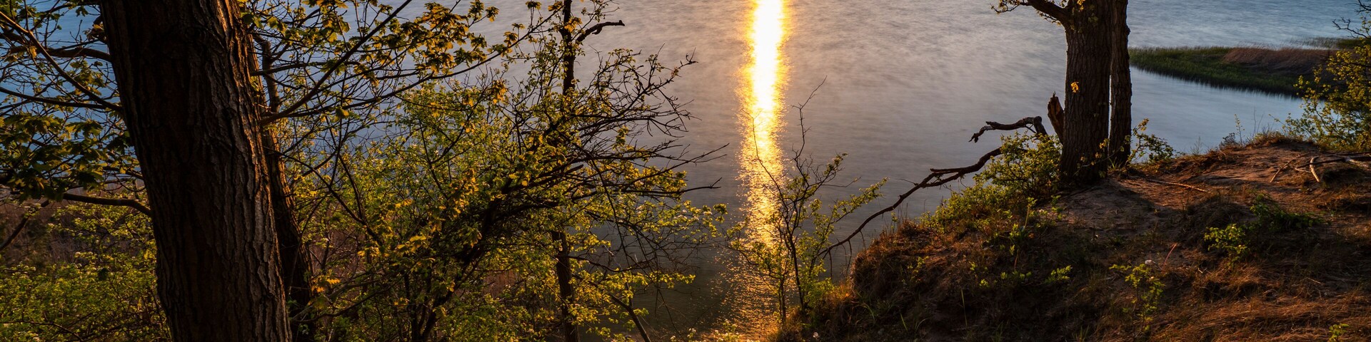 Un atardecer sobre un lago tranquilo, con árboles enmarcando la vista.