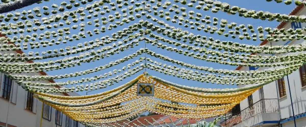 The Summer Festival of Agriculture