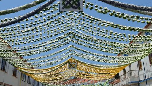 The Summer Festival of Agriculture