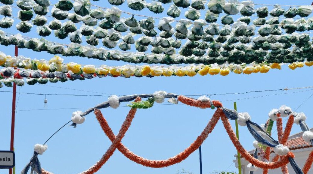 The Summer Festival of Agriculture