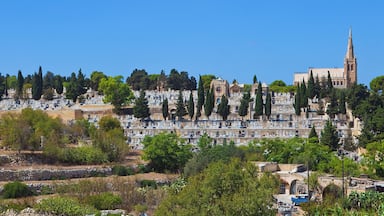 A cemetery with tombstones and a church with a tall spire.