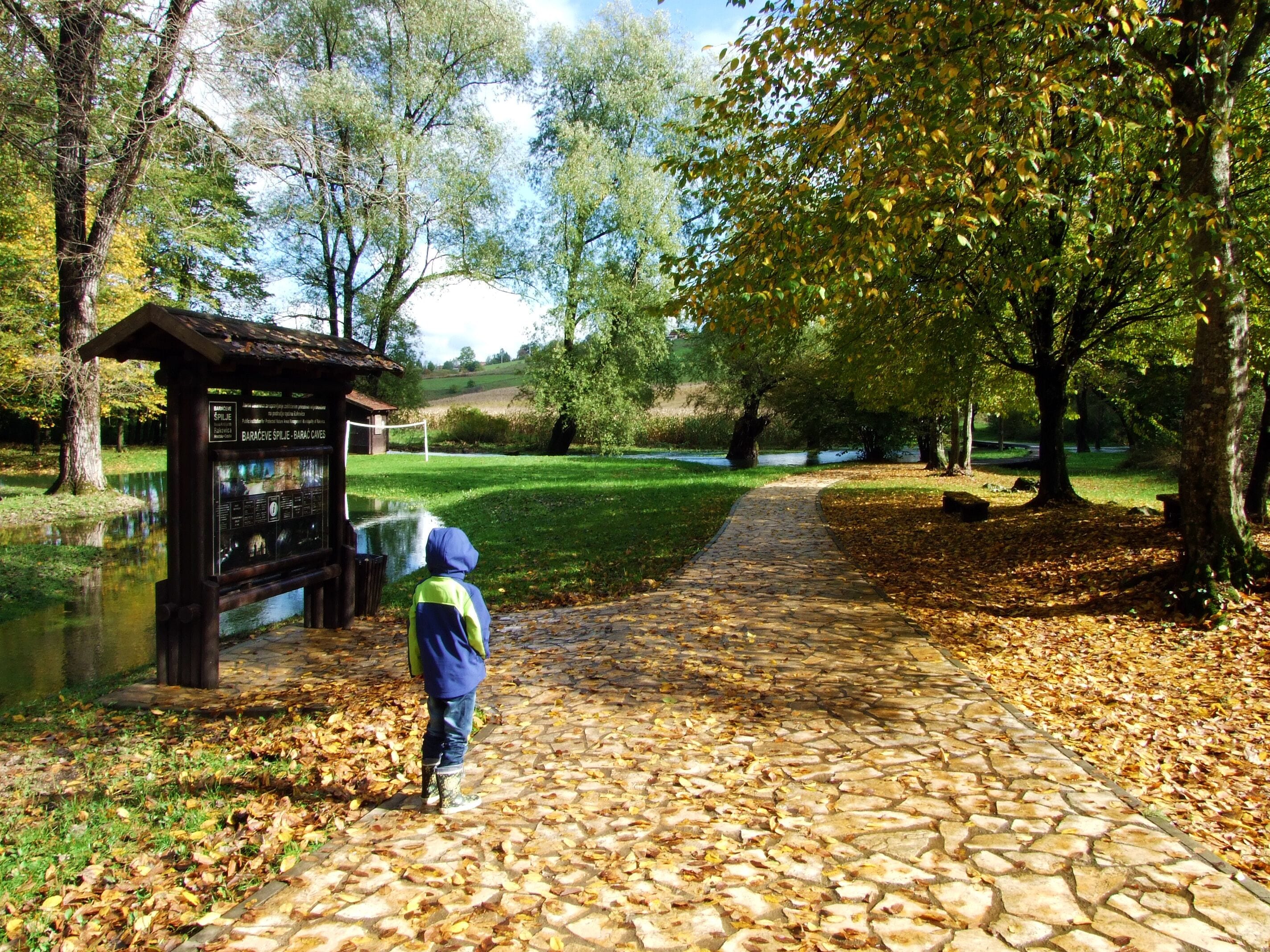 A stone pathway leading to a wooden information board in a park with trees and a pond.