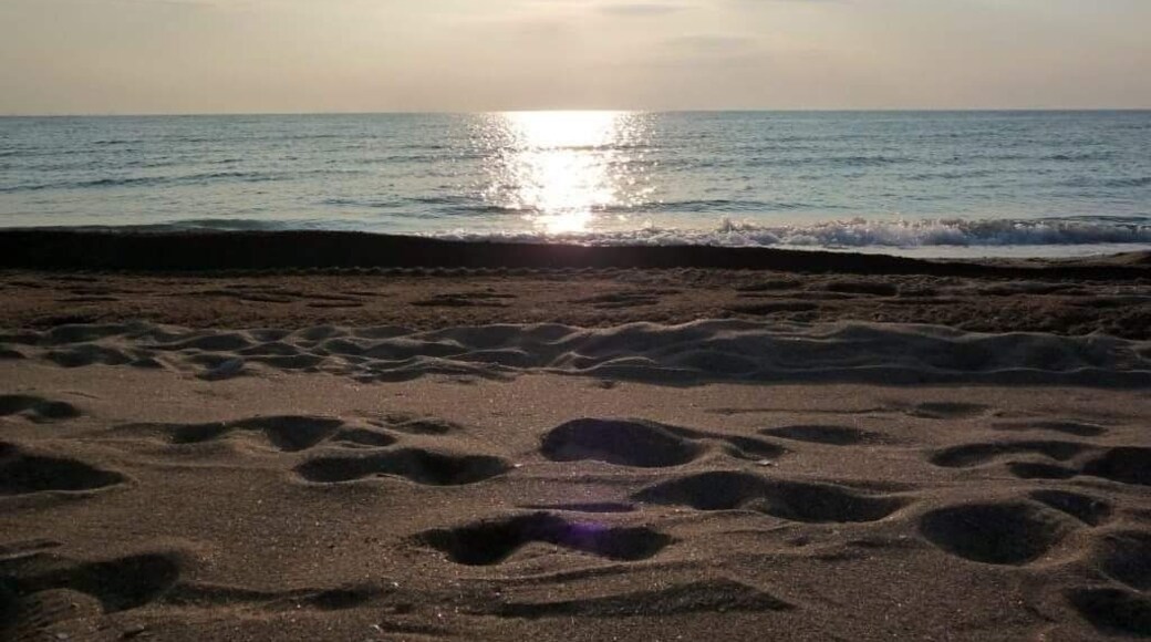 Sunrise at Black Sea