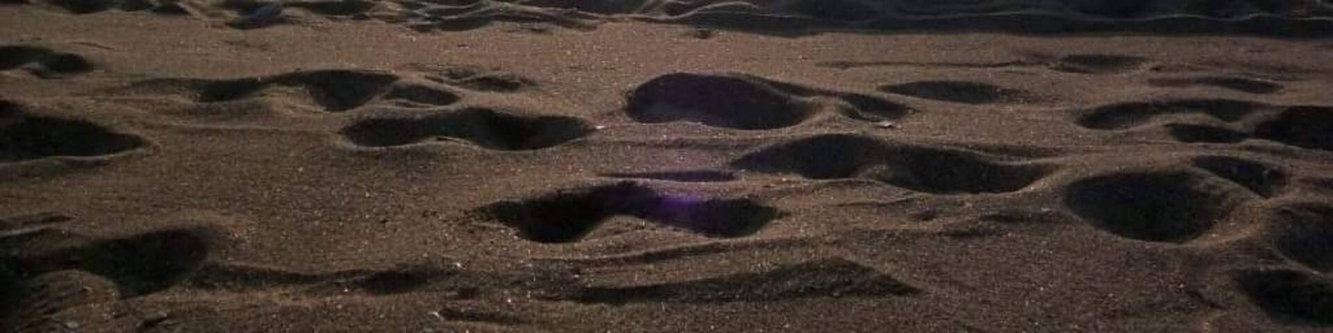 Sunrise at Black Sea