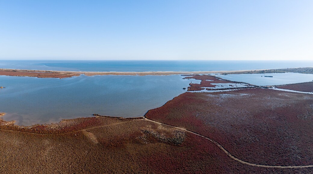 Grand panorama de l'étang de pissevache à Fleury d'Aude en Occitanie.