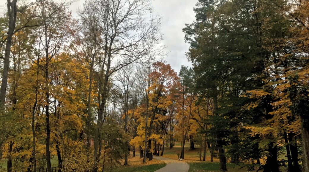 #lifeatexpedia #lifeatexpediagroup #yellow