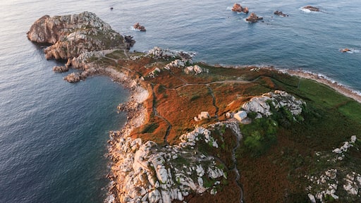 ํ๋ฃจ๊ฐ์ค๋