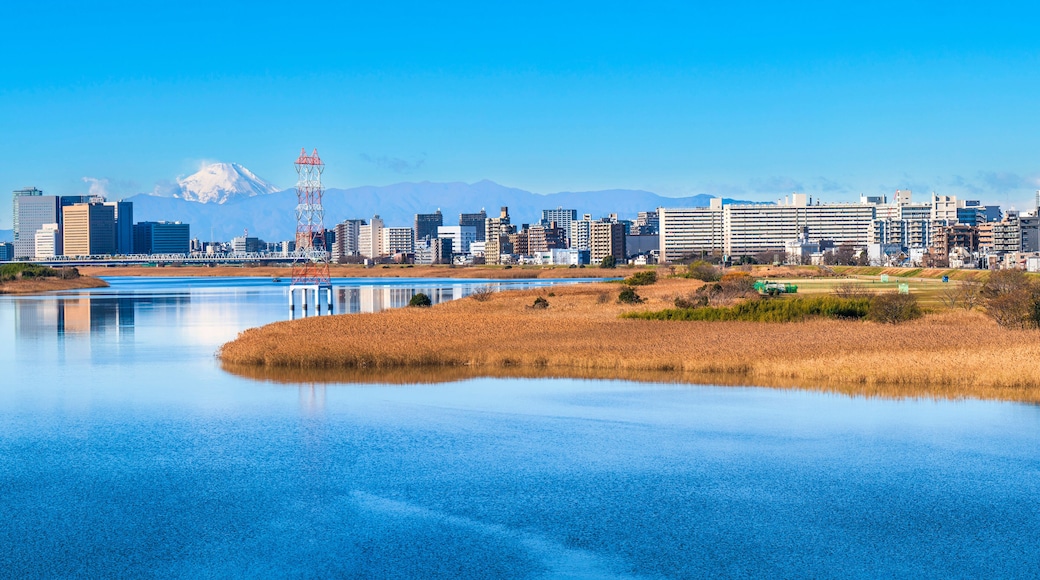 青空広がる多摩川と東京の住宅街の風景【東京都・大田区】
The Tama River spreading out under the blue sky and the residential area of Tokyo - Japan