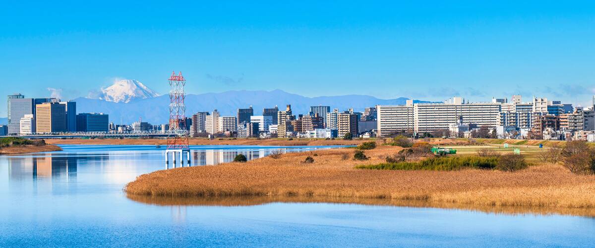 A city skyline with a mountain in the background, a body of water in the foreground, and a communication tower.