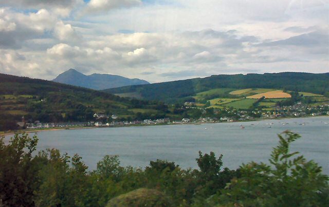 View from Gortonallister Looking over the ferns to Lamlash Bay.