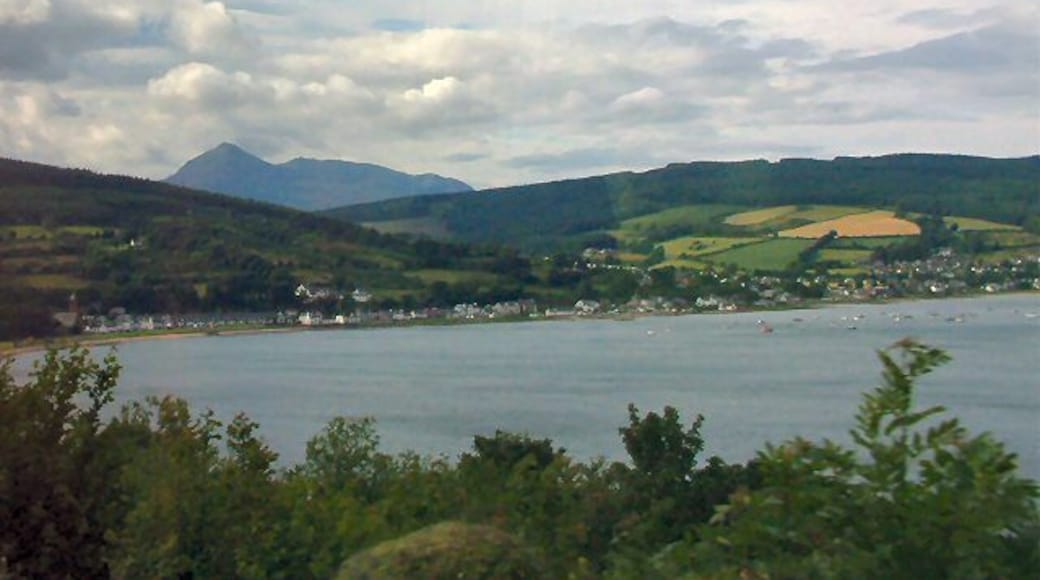 View from Gortonallister Looking over the ferns to Lamlash Bay.