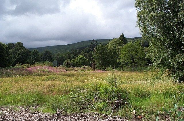 Scrubland at the end of McKelvie Road Facing northwestwest from the car park of the Kirk Care home.