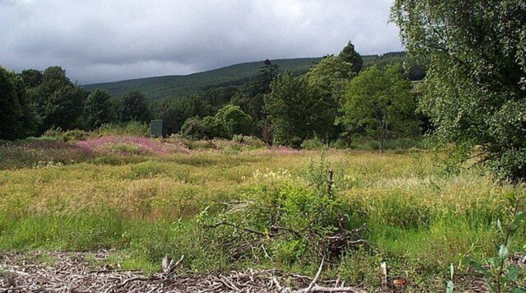 Scrubland at the end of McKelvie Road Facing northwestwest from the car park of the Kirk Care home.