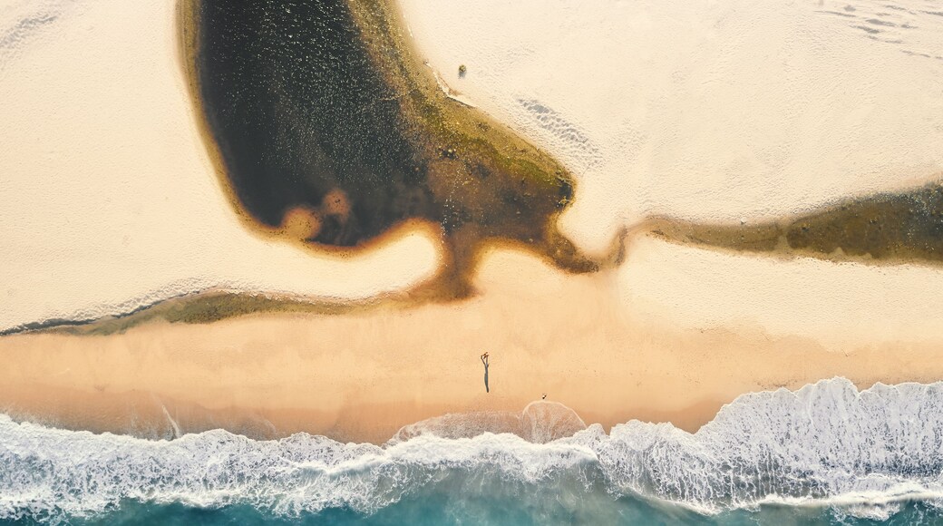 Aerial view of a beach in Sant'Andrea Apostolo dello Ionio, Calabria, Italy.