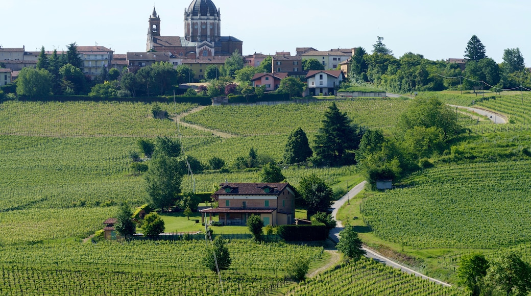 Vineyards of Monferrato near Nizza at springtime