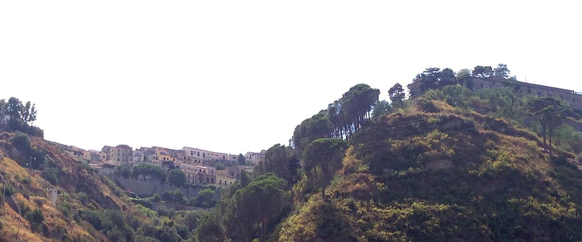 A hillside village with buildings nestled among trees.