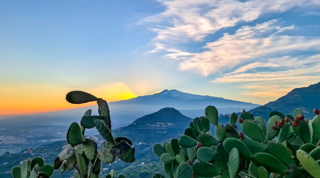 Un cactus con un tallo curvado, una cordillera y una puesta de sol al fondo.